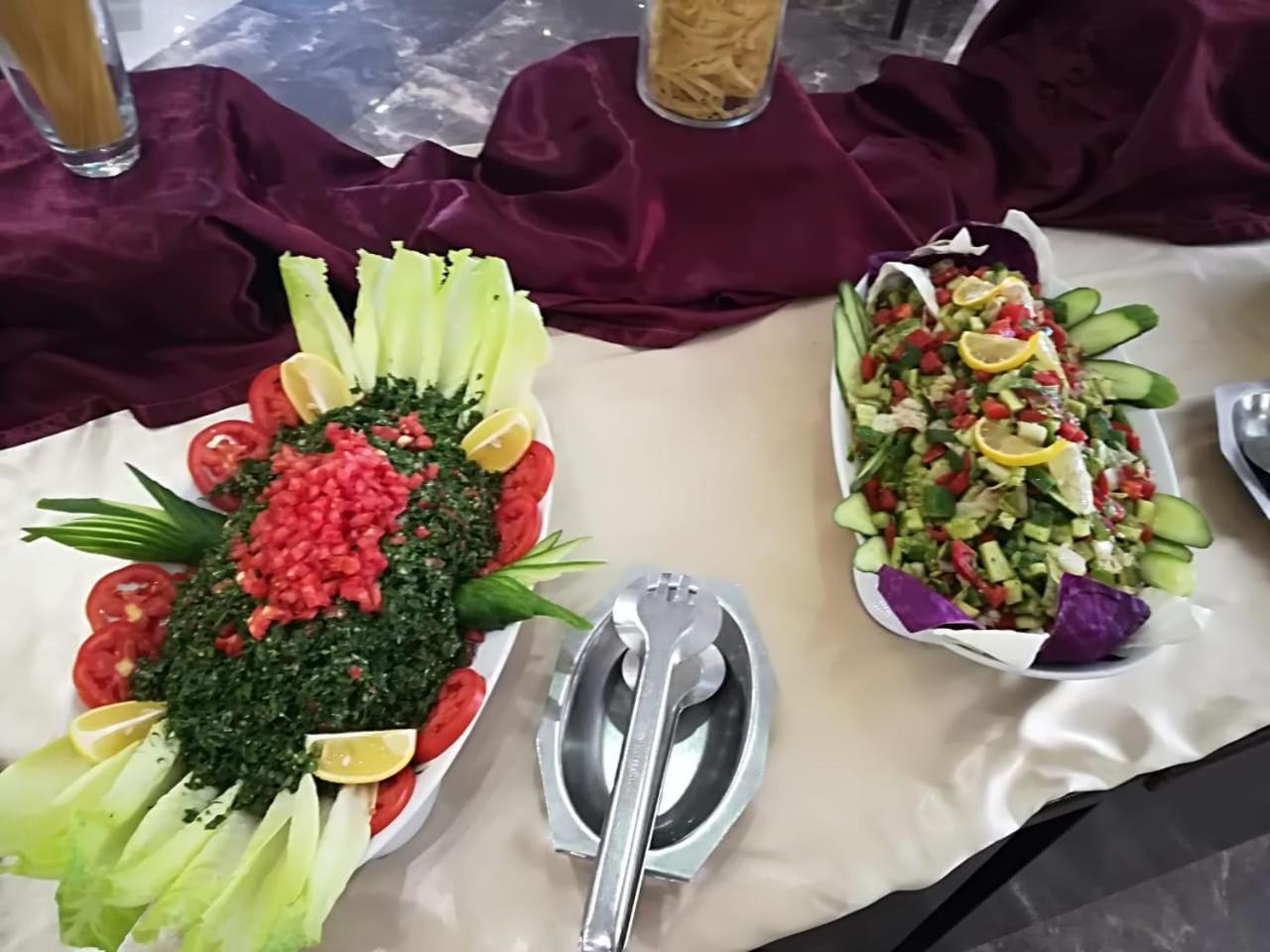 Darin Plaza Hotel Erbil Extérieur photo